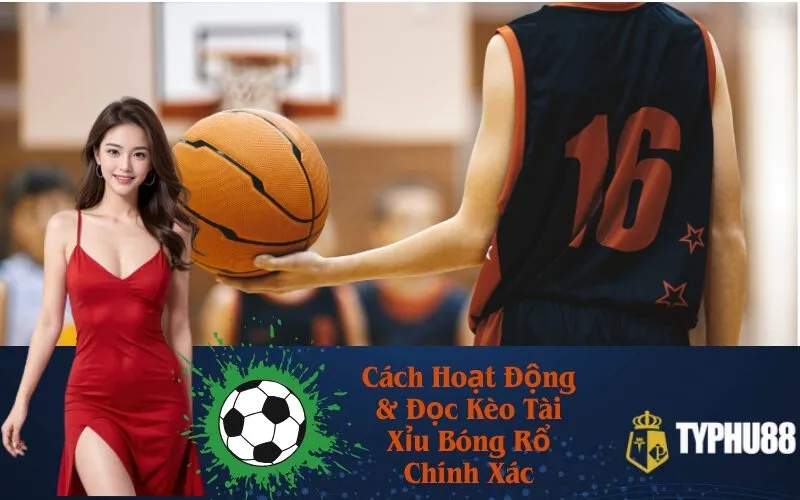 Cách Hoạt Động & Đọc Kèo Tài Xỉu Bóng Rổ Chính Xác